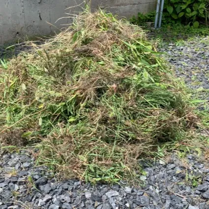 🌿【作業実績｜太宰府市】東京在住の娘様よりご実家の草むしりを...