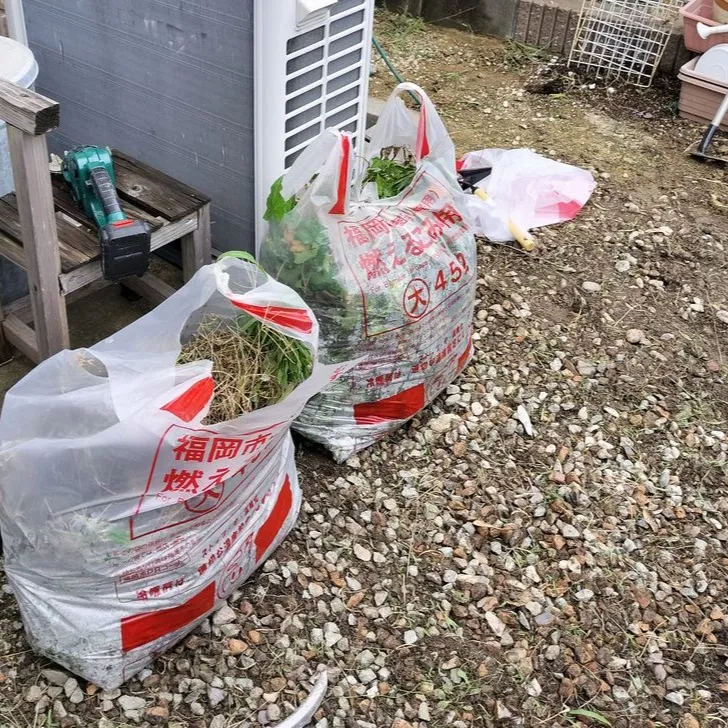 🌿【福岡市早良区で草むしり＆スズメバチの巣除去対応】🐝