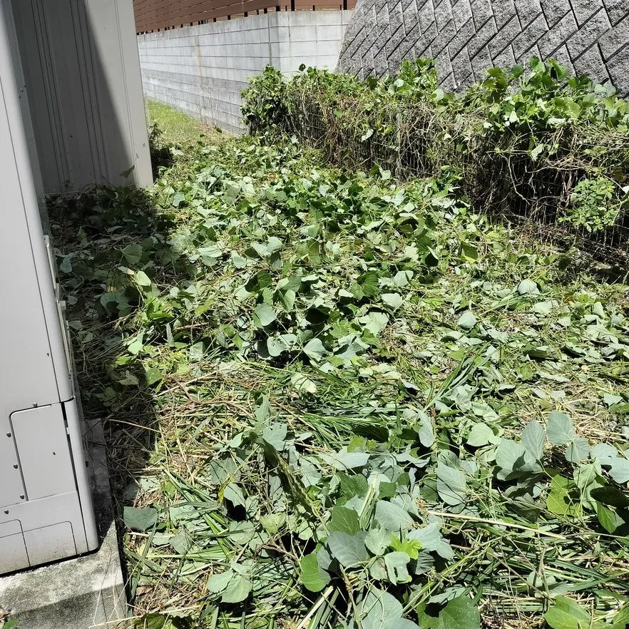 🌿【糟屋郡久山町で草刈り＆庭清掃のご依頼】🏡