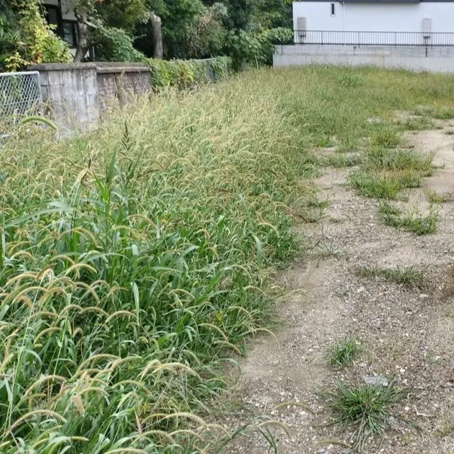 🌱≪佐賀県鳥栖市にて、不動産関係の法人様より草刈のご依頼≫