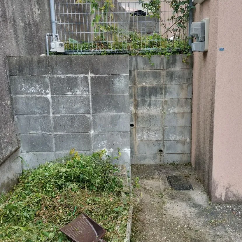 🌳≪福岡市南区にて、以前ご依頼頂いた所有物件の伐採の続き≫
