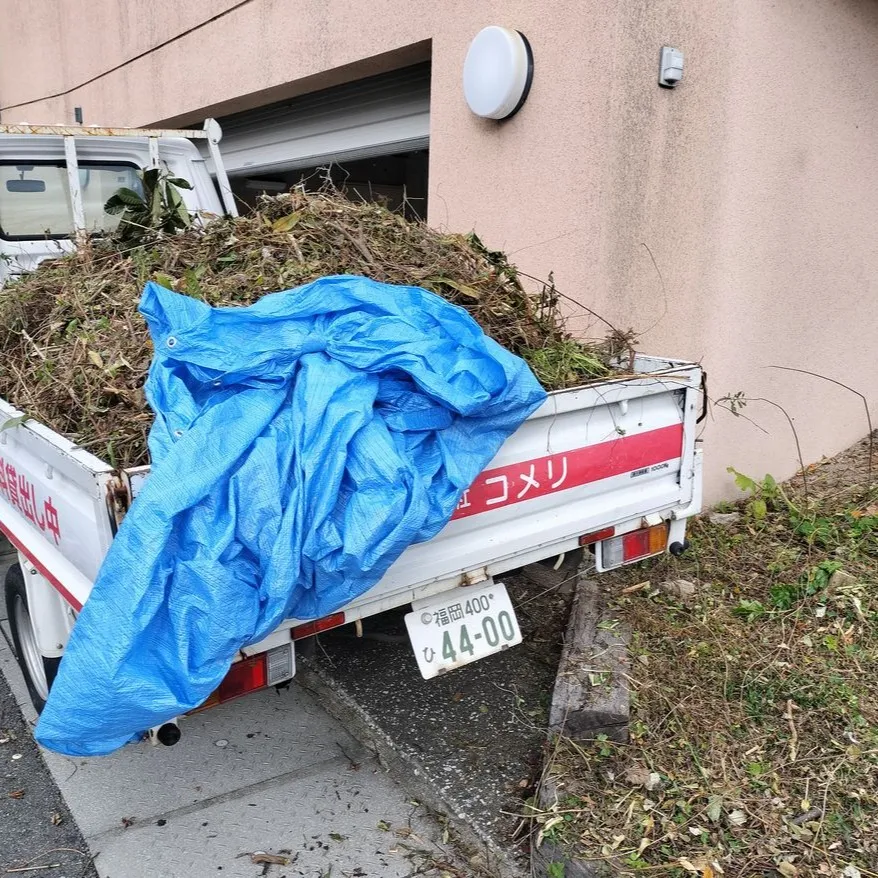 🌿≪福岡市南区にて、お庭の草刈り・伐採完了のご報告≫