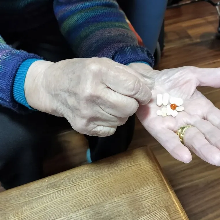 🛍️【福岡市東区香椎浜にて、買い物同行のご依頼】