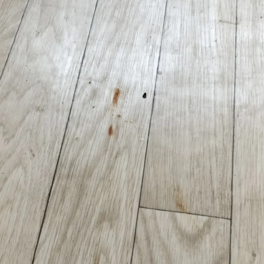 🚿【福岡市東区箱崎にて、空室清掃のご依頼】