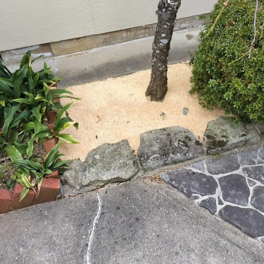 🌿【福岡市東区雁ノ巣にて、草むしりと簡単な剪定のご依頼】