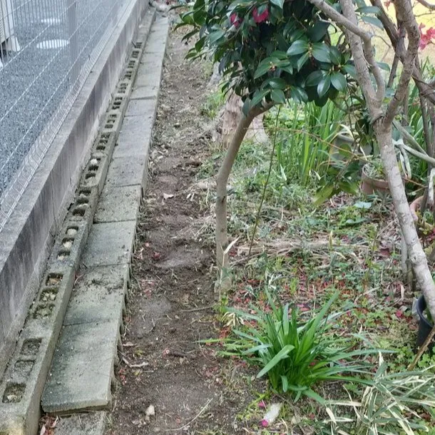 🧹【福岡市東区香住ケ丘にて・定期の草むしりのご依頼】