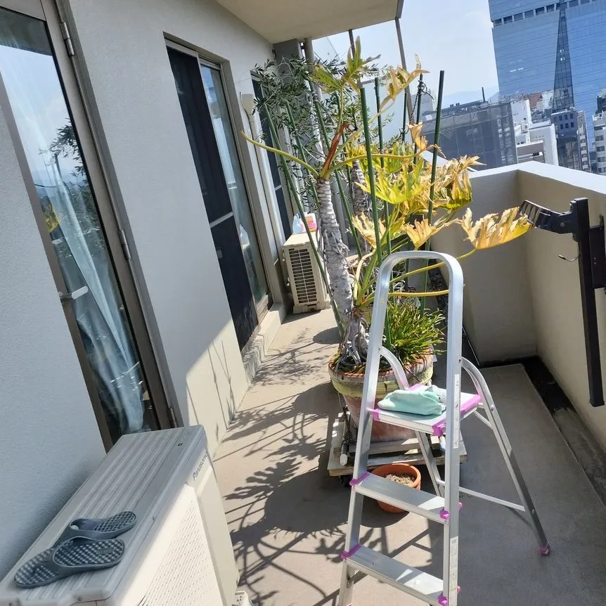 🪟【福岡市中央区舞鶴にて・窓清掃のご依頼】