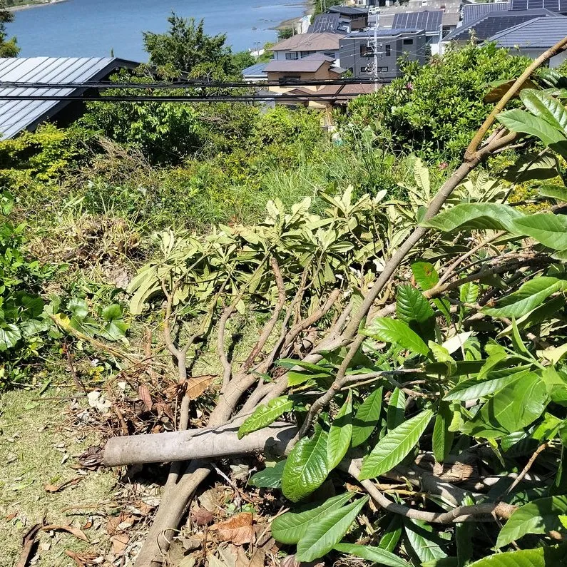 【福岡市東区香住ヶ丘】91歳の決断。