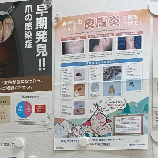 【福岡市東区香椎浜】常連様の皮膚の異変で皮膚科への通院同行