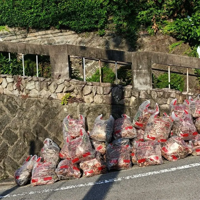 【福岡市東区】45Lごみ袋30袋以上の集大成！お庭の終活、感...