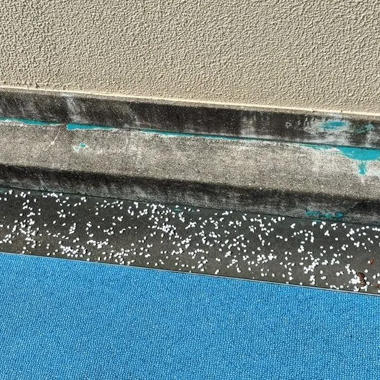 【福岡市東区】長期休暇の水質を守る！学校プール管理業務（2日...